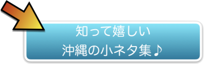 知って嬉しい沖縄の小ネタ集