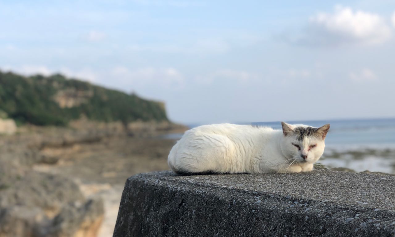 風格があります(笑)