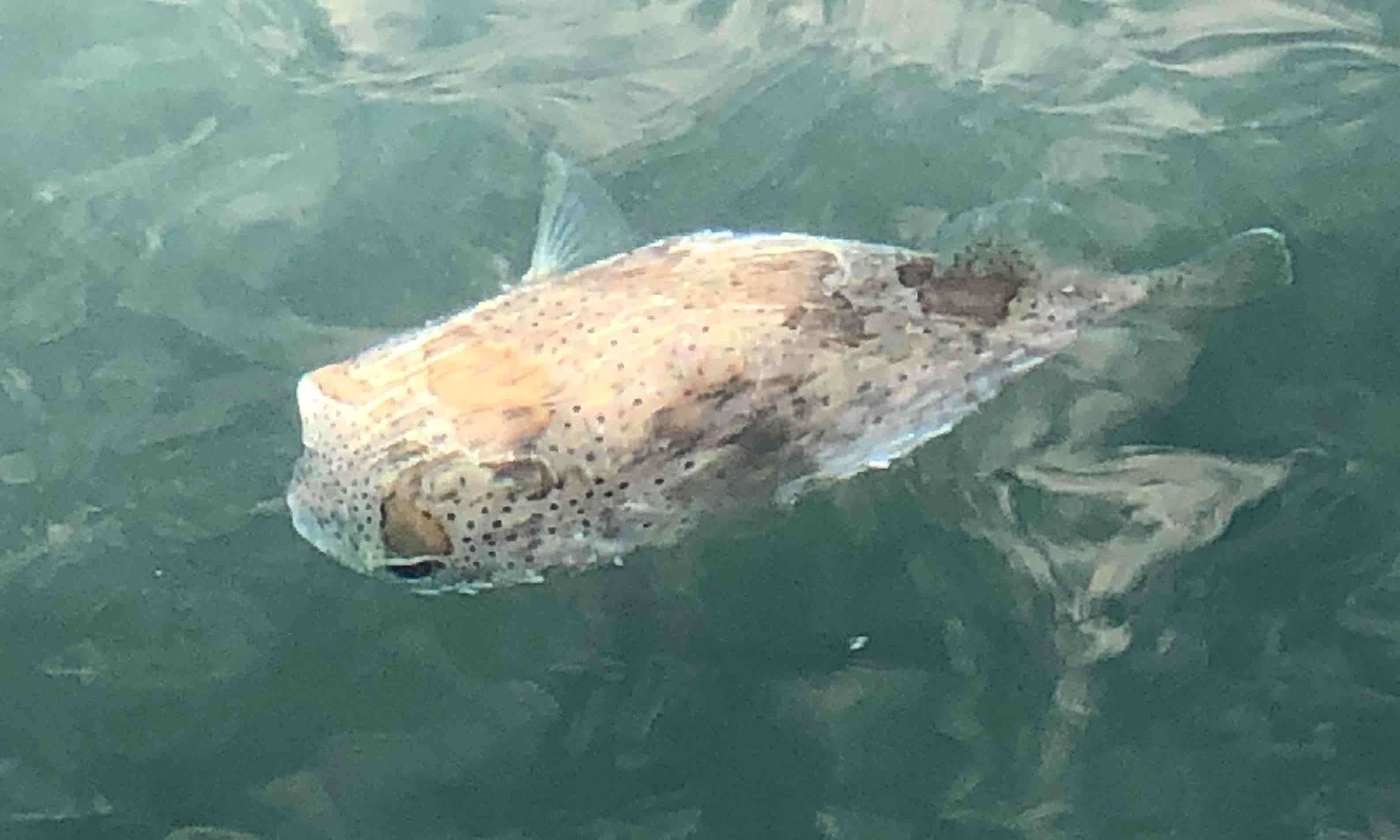 糸満の海は綺麗なだけじゃないんです