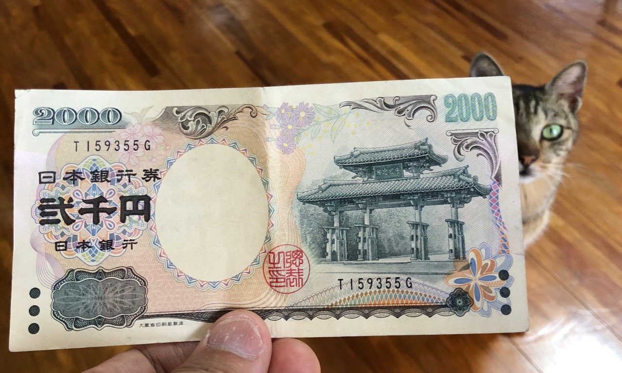 沖縄でも珍しいです！！